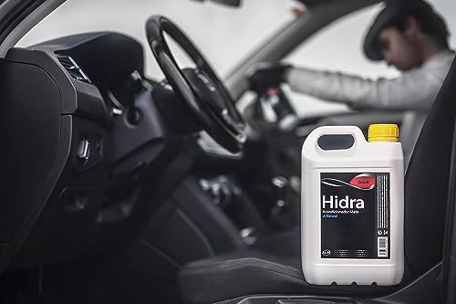  Sisbrill A6522 Abrillantador limpieza interior para suelos brillantes, 5 Litros - Ideal para hogares con niños
| Sisbri